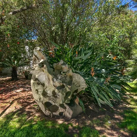 بيت للعطل Rosa